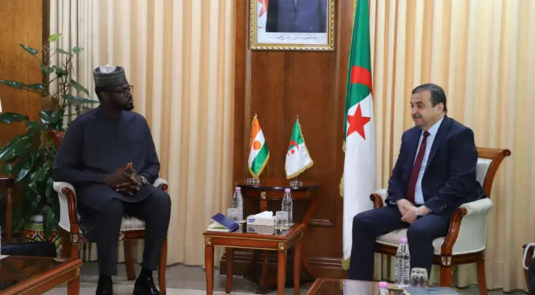 Energie : l’Algérie et le Niger boostent leur partenariat dans les hydrocarbures
