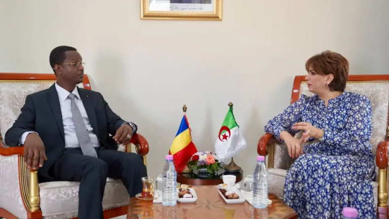 Vers un nouvel élan culturel et artistique entre l’Algérie et le Tchad