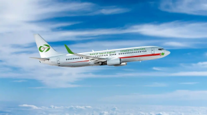 Domestic Airlines
