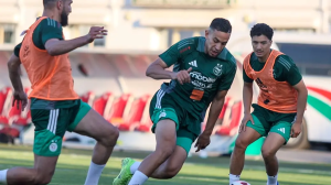 les verts