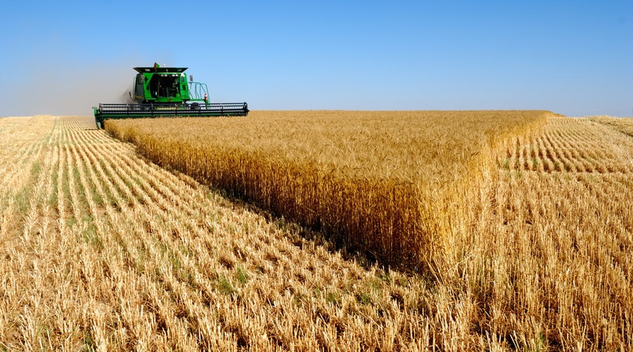Algerie-Agriculture