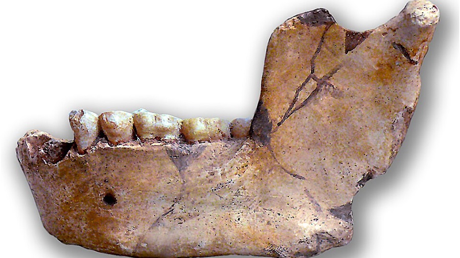 Sur les traces de l’Atlanthropus : nouvelle saison de fouilles à Tighennif
