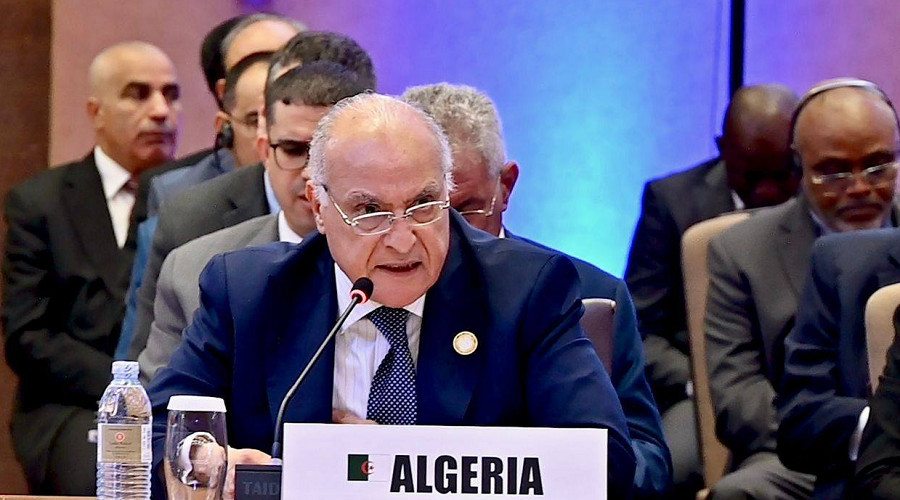 Interview – Anuradha Mitra Chenoy : «L’Algérie peut devenir une voix majeure du Sud Global» 