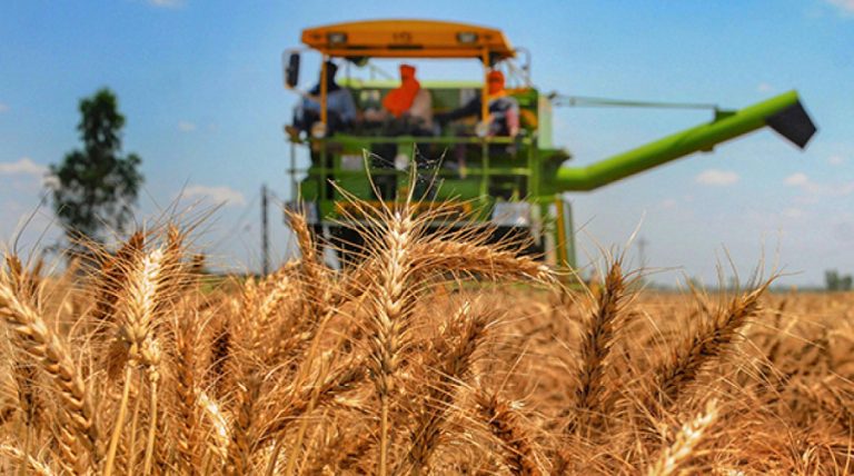 La faim comme arme géopolitique : les fragilités du système alimentaire mondial