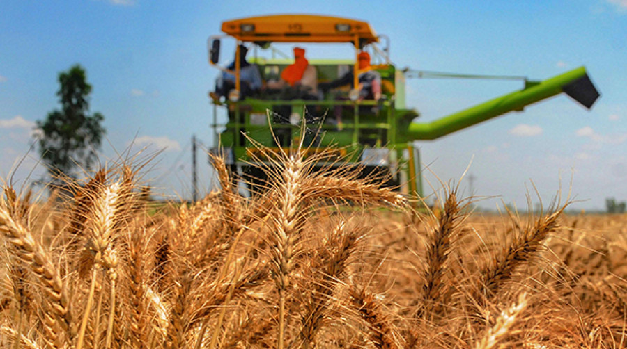 La faim comme arme géopolitique : les fragilités du système alimentaire mondial