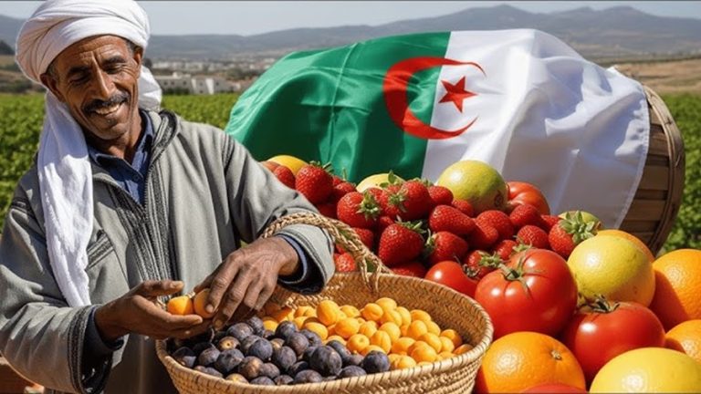 Fruits algériens à l’export : le rendez-vous incontournable des professionnels à Sidi Bel Abbès