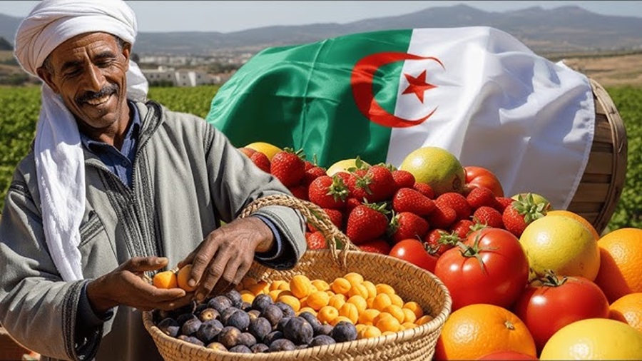 export produit algérien