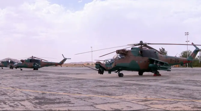 Algérie-Niger 