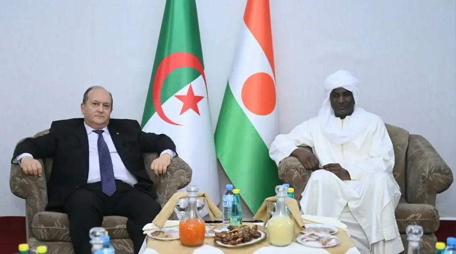 Sifi Ghrieb niger
