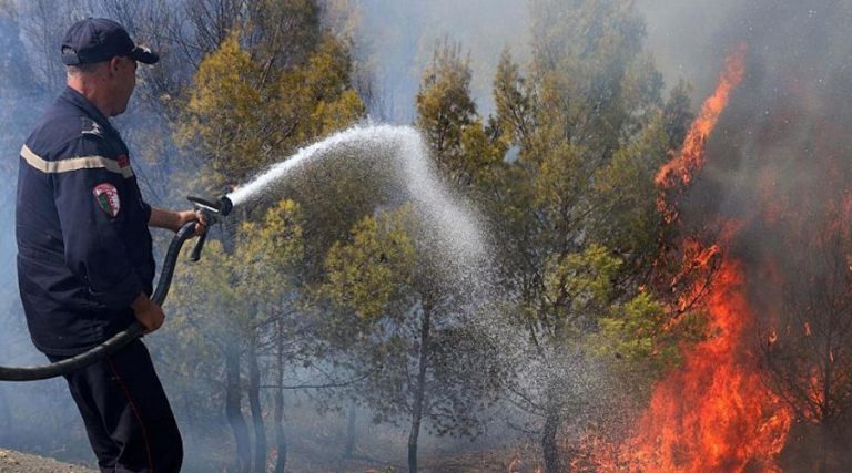 153 feux recensés, 67 en cours d’extinction, trois jours de deuil national et déplacement de Sifi Ghrieb à Jijel