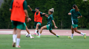 les Vertes CAN 2026