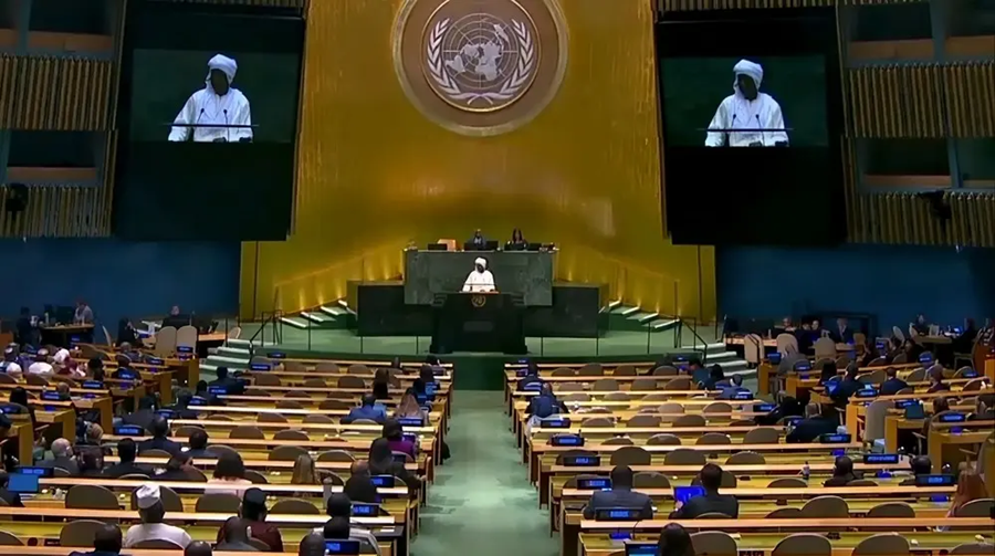 Niger ONU