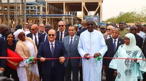 ghrieb au niger
