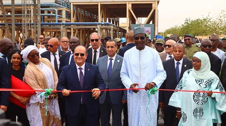 Intégration africaine : la dorsale numérique Algérie-Niger devient une réalité