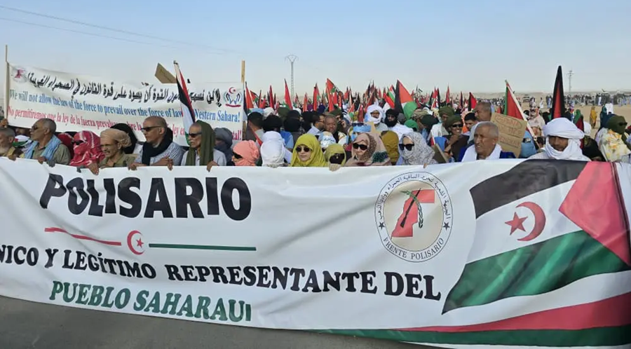 polisario sahraouis