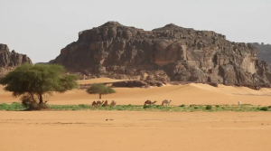 Tassili n’Ajjer